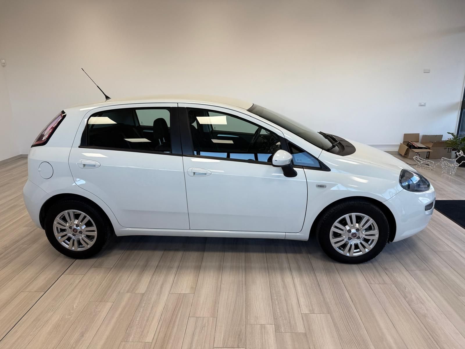 Fiat Punto Evo  Lounge Eco 1.3 MjT 85CV